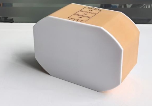 通用型腰椎模體1