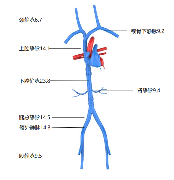 d11966e5-d670-4099-ba7e-32055cda74fc