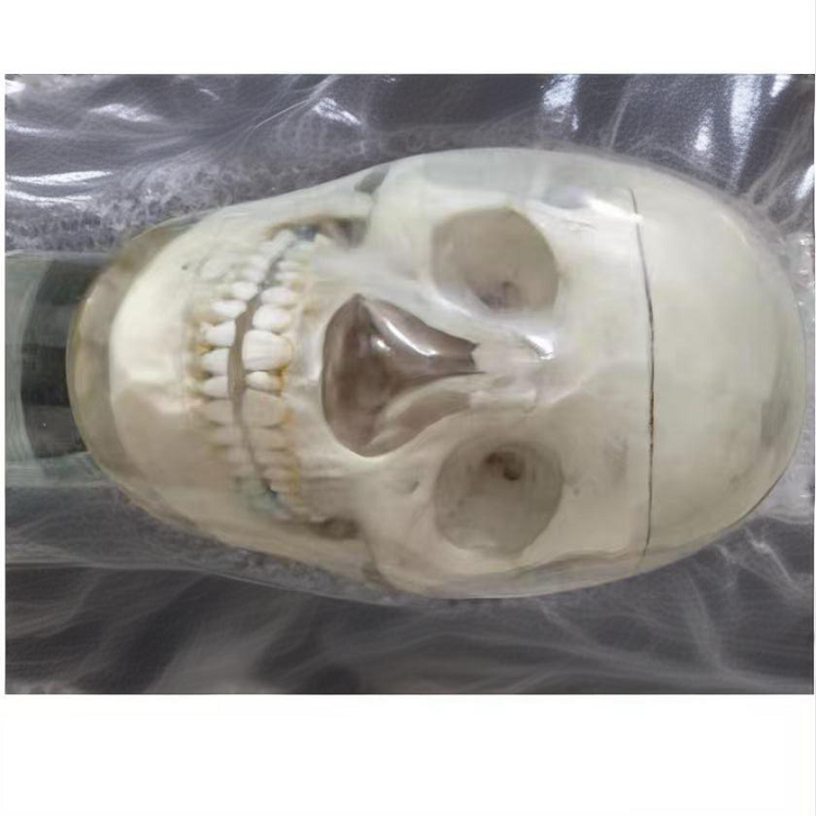 高級仿頭模系統(tǒng)