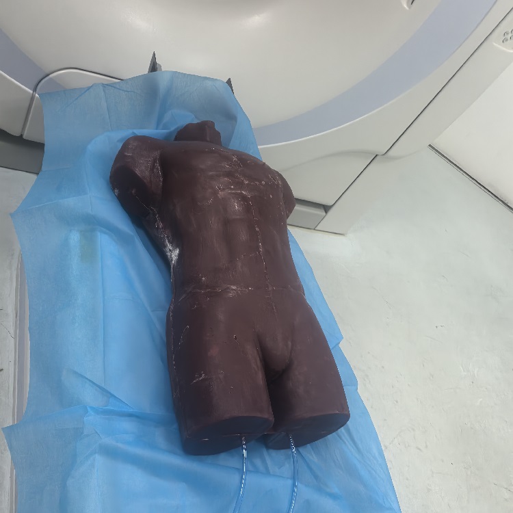 241202成人軀干模體4